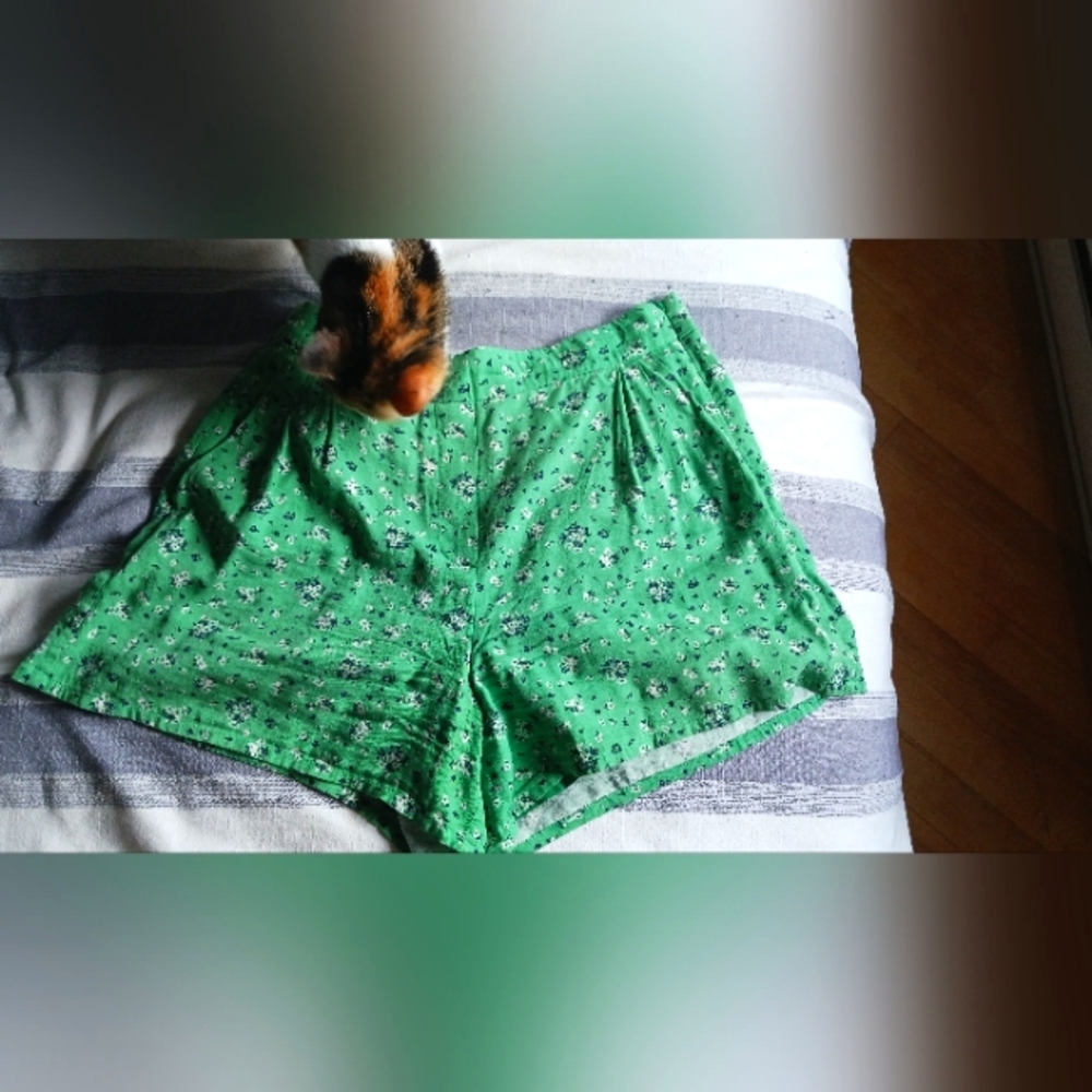 Frank & Oak Green Floral Shorts